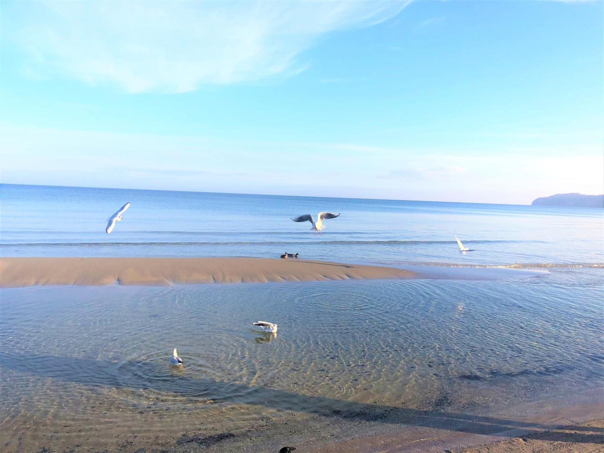 Sommerwind - Villa Helene Mit Meerblick In Top Lage Binz Zewnętrze zdjęcie